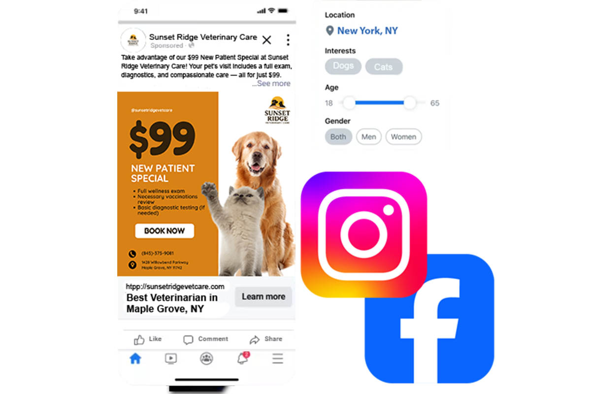 Vet Marketing Solutions | Inlays  amp  Onlays, Laser Dentistry and Implant Dentistry